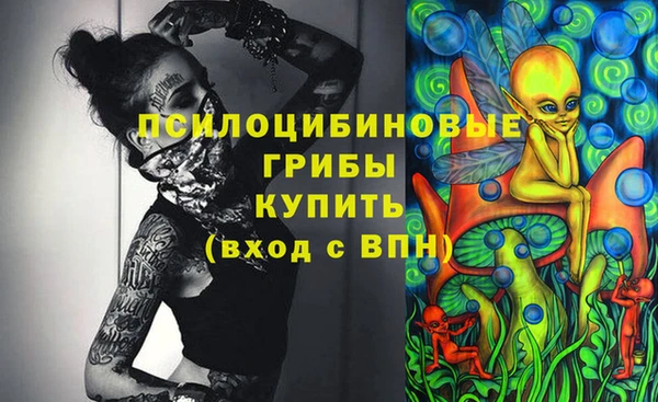дживик Армянск