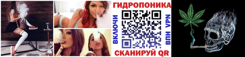 Купить закладки  Чебоксары  Конопля SATIVA & INDICA 